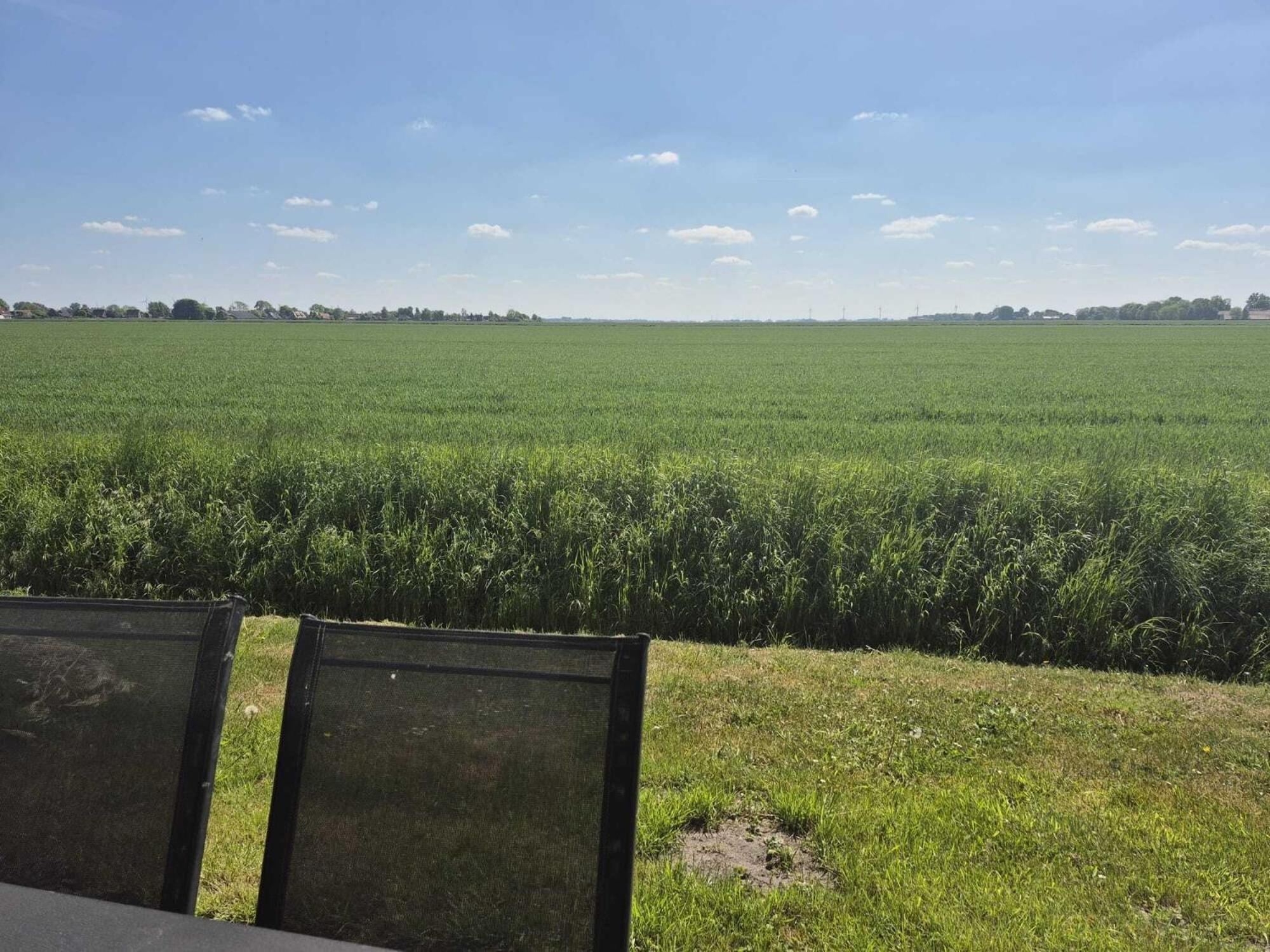 Ferienhaeuser Freiblick Ditzumerverlaat Exterior foto